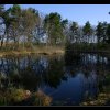 20070415_005
